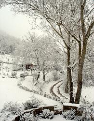 The garden at Mazzaforte, 21 March 2009